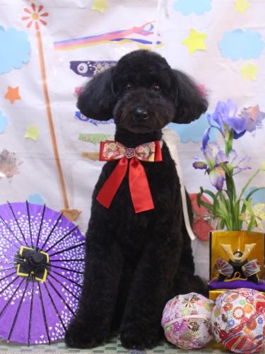 20240528アロちゃん